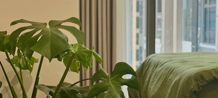 安静的住宿(A Quiet Stay)图片