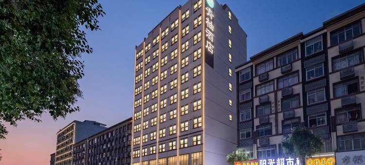 鹿邑青柚酒店(鹿邑县人民政府店)图片