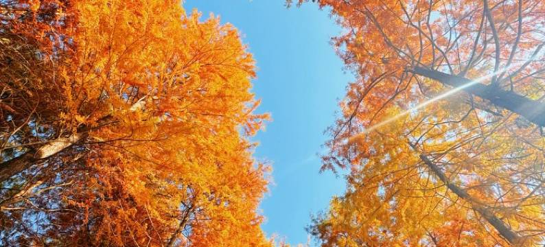 宁国·几里森林·影音MountainandCoffee 美宿(皖南川藏线板桥店)图片