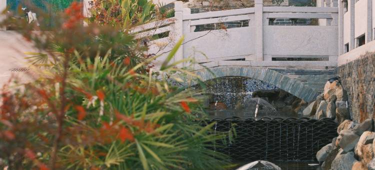 溪上璞院·森氧Vila度假民宿(景德镇陶瓷博物馆店)图片