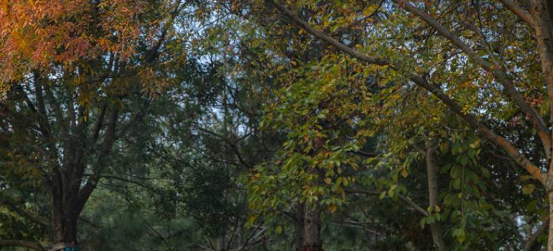 云水南野奢度假酒店图片