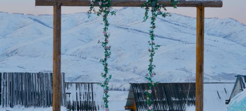 白哈巴野自在民宿图片