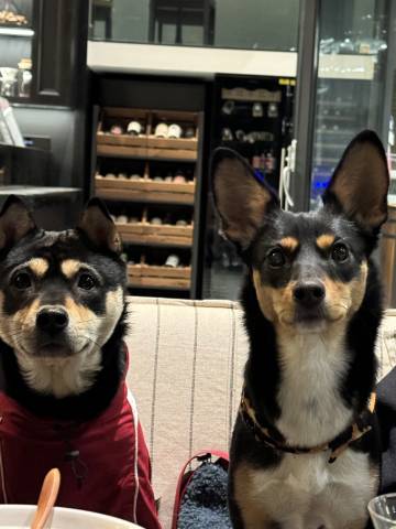 景德镇御窑厂如院天空之城酒店(人民广场店)图片