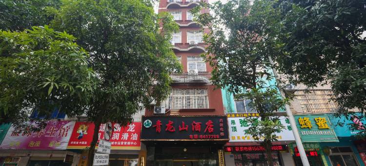 来宾青龙山酒店(来宾北站店)图片