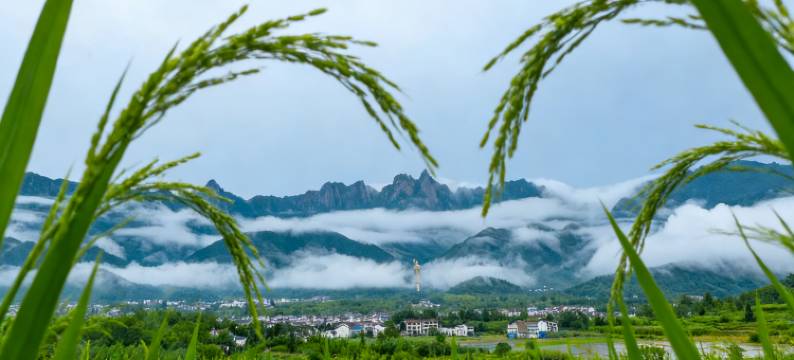 佑途丨莲境・古镇风情度假民宿(九华山风景区店)图片