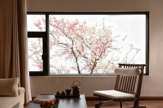 云野･凤晚|Song's Aesthetic 美宿(独克宗古城大佛寺转经筒店)图片