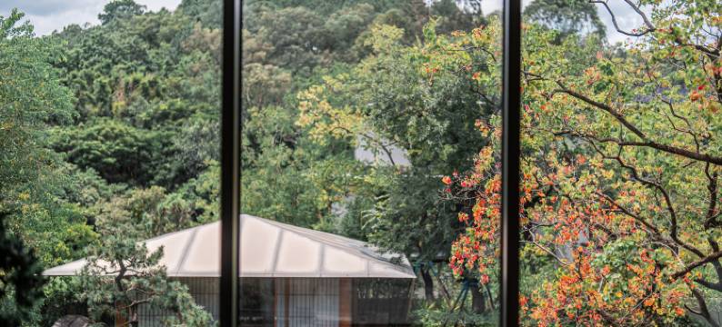 木莲庄度假酒店(广州增城荔湖店)图片