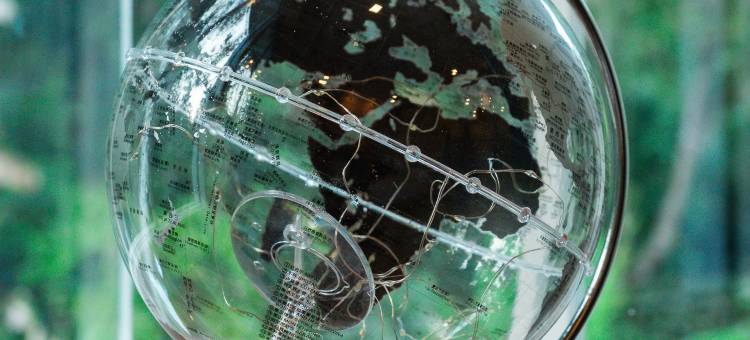 Nuearnaam Lychee House Chiang Mai图片