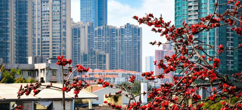 广东胜利宾馆图片