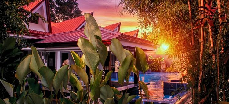 Carpe Diem Villas & Resort 潜水及住宿度假村(Carpe Diem Villas & Resort)图片