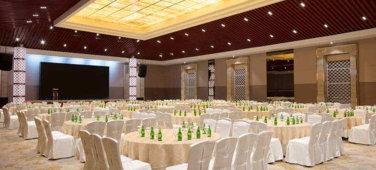 巴丹岛温德姆酒店(Wyndham Panbil Batam)图片