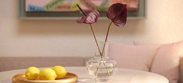 Numa Florence Fiesolana 公寓(Numa Florence Fiesolana)图片