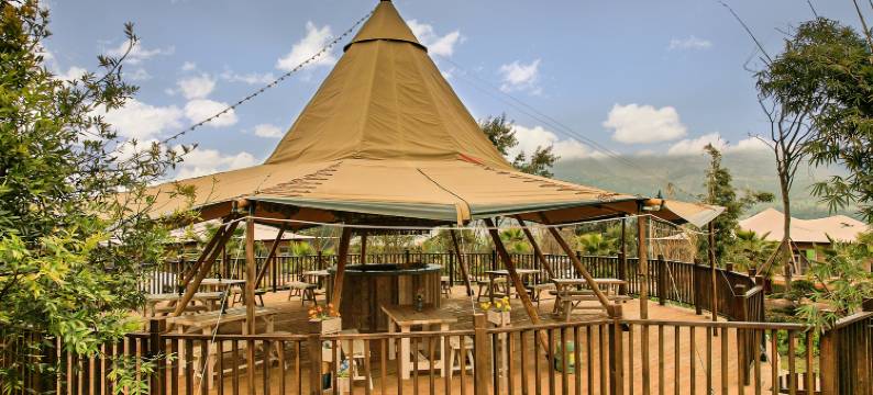 花海野奢帐篷酒店图片