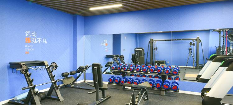 辛集中心智选假日酒店图片