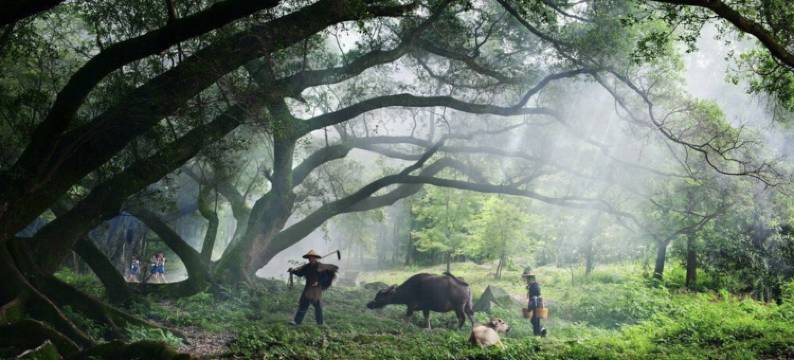 牙城又见观民宿图片