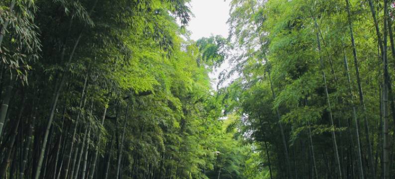 南京大吉温泉度假村图片