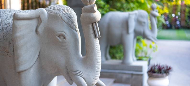 暹粒两季酒店(Two Seasons Siem Reap Hotel)图片