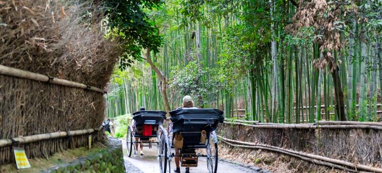 The Blossom 京都(The Blossom Kyoto)图片