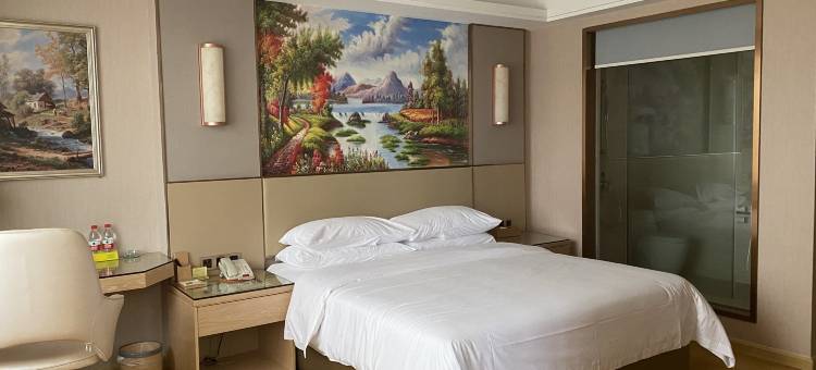 维也纳国际酒店(普宁环市东路普宁站店)图片