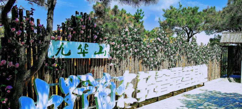 凌海市山野自在轻奢露营基地图片