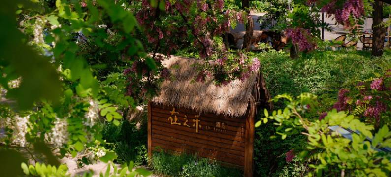 北京在之禾酒店图片