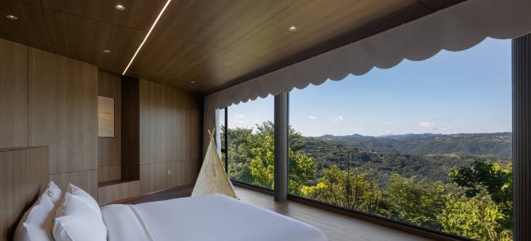 蓝莲花开·咖啡博物馆民宿(下岩贝店)图片