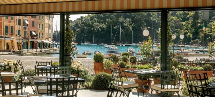 诗浦兰蒂朵海滨，贝梦德酒店， 波托菲诺(Splendido Mare, A Belmond Hotel, Portofino)图片