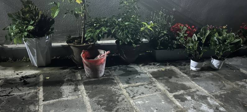 腾冲和顺温墩时光民宿图片