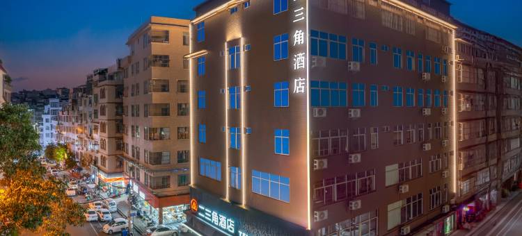 南宁二三角酒店(大沙田金象大道地铁站店)图片