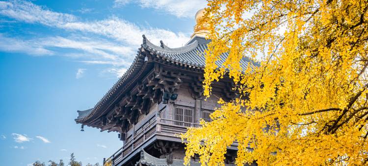 濮院时尚古镇秀水客栈图片