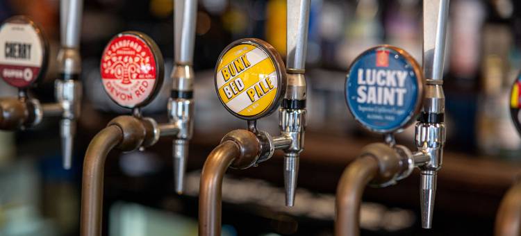 帕普乐埃克斯茅斯阿穆斯旅馆尤斯顿(PubLove @ the Exmouth Arms, Euston)图片