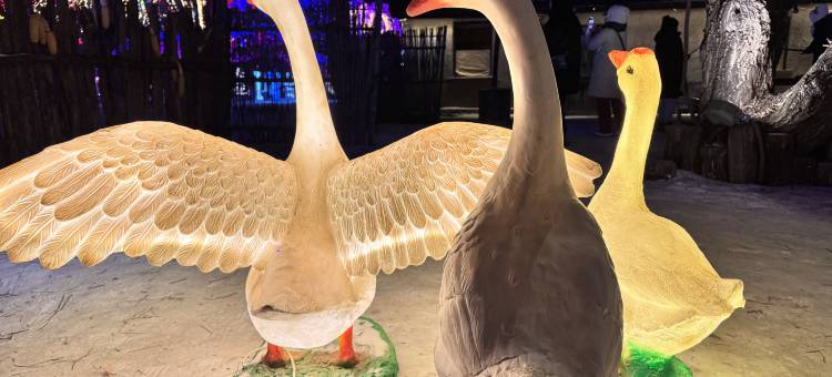 丽洁客栈(雾凇岛景区店)图片