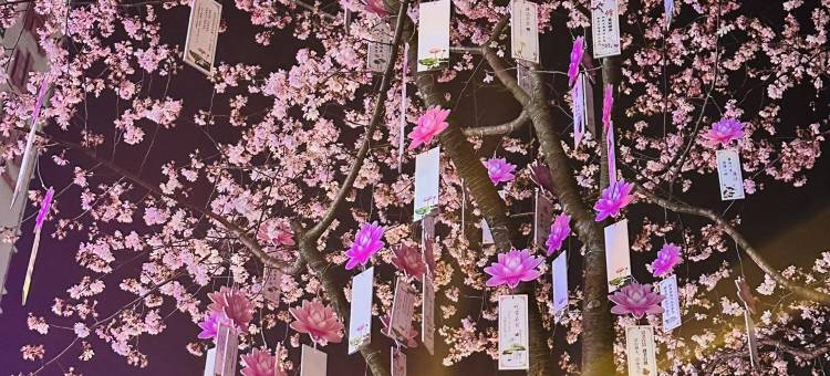 臻悦酒店EconomicalandComfortableHotel(常德武陵阁步行街店)图片