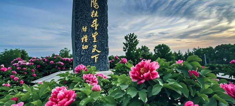 洛阳凤翔温泉酒店(龙门高铁站店)图片