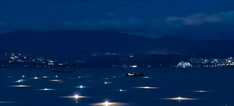 理宿·枕星河 | 云端悬崖海景度假民宿(大理洱海店)图片