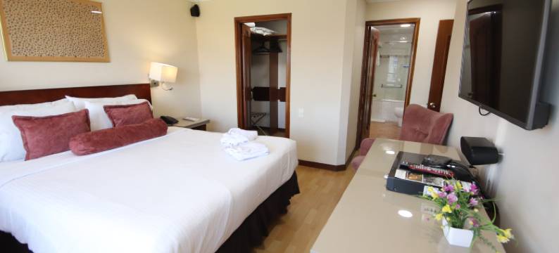 兰开斯特宫套房酒店(Lancaster House)图片