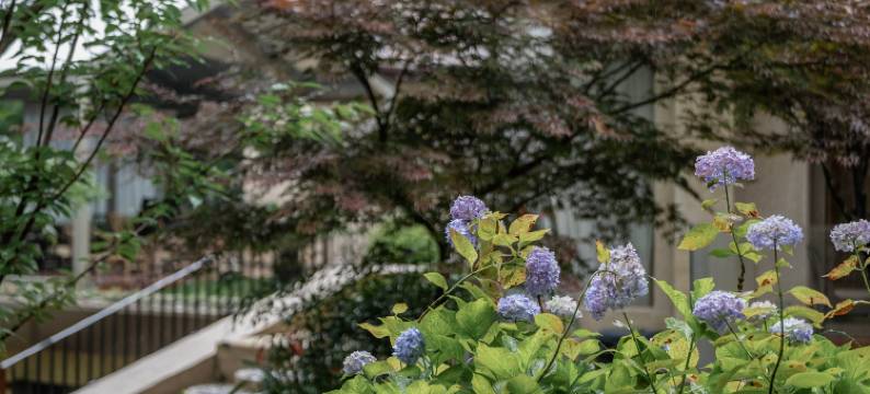 桐庐天空秘岭民宿图片