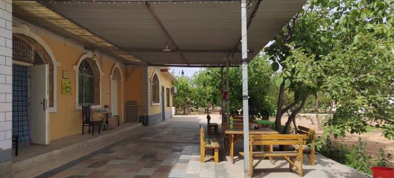 中卫捌拾壹号客栈(沙坡头景区店)图片