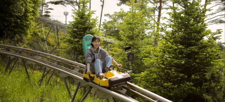 平昌阿尔卑西亚假日度假酒店(Holiday Inn Resort Alpensia Pyeongchang)图片