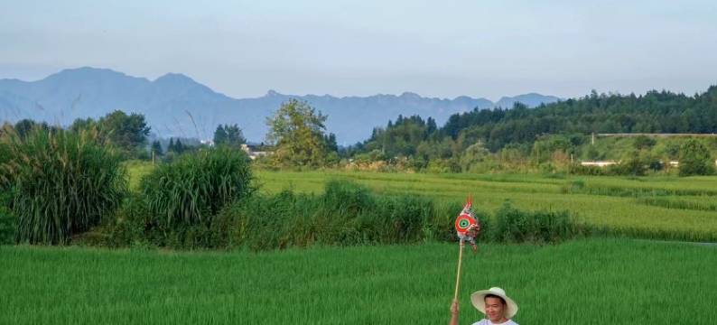 黄山澍德堂•黟县交叉小径的花园图片