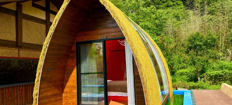 九皇辛夷民宿图片