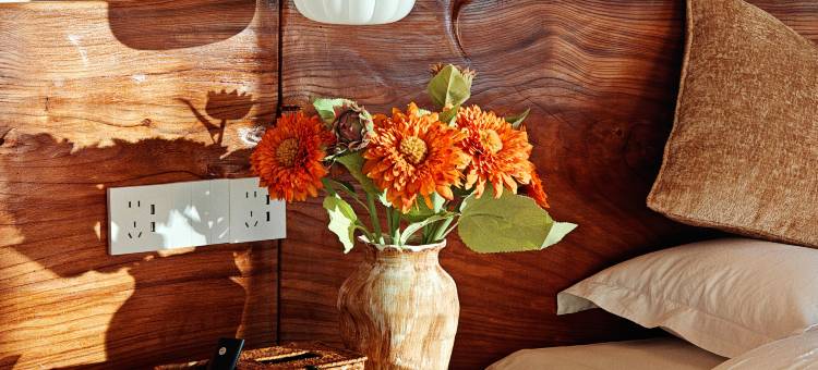 白哈巴澜风民宿图片