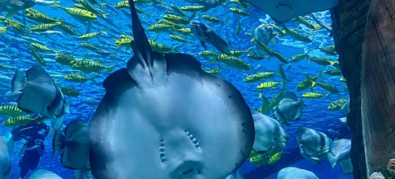 重庆永乐半山酒店图片