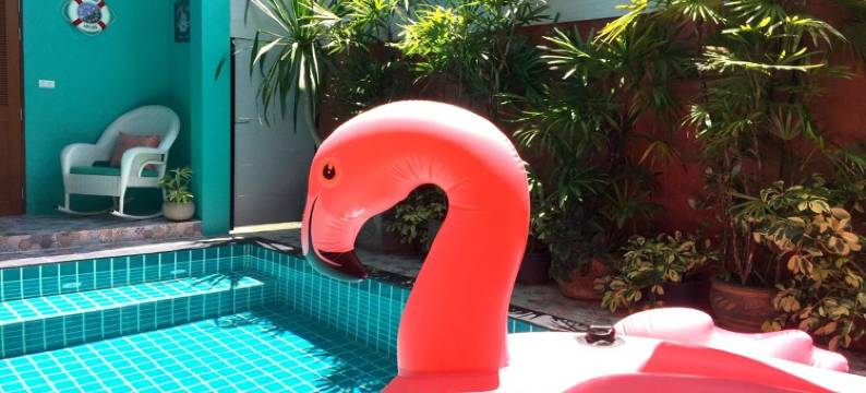 清迈楚昌大象主题民宿(Chor Chang House Chiang Mai)图片