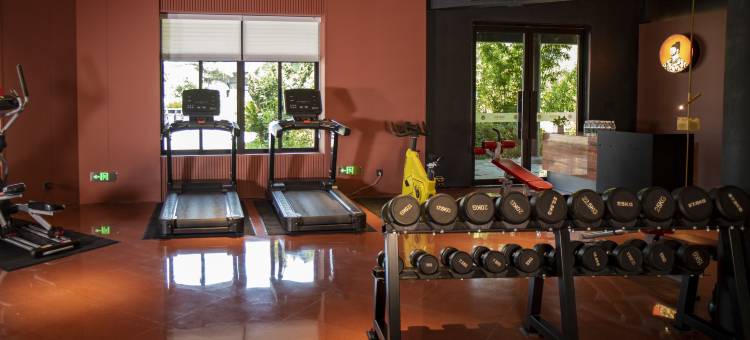 龙天小镇度假区番唐酒店图片