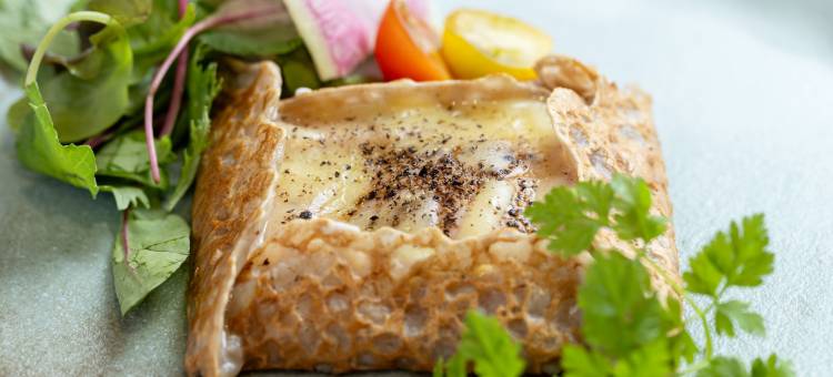 宇都宫站前里士满酒店别馆(Richmondhotel Utsunomiya-ekimae Annex)图片