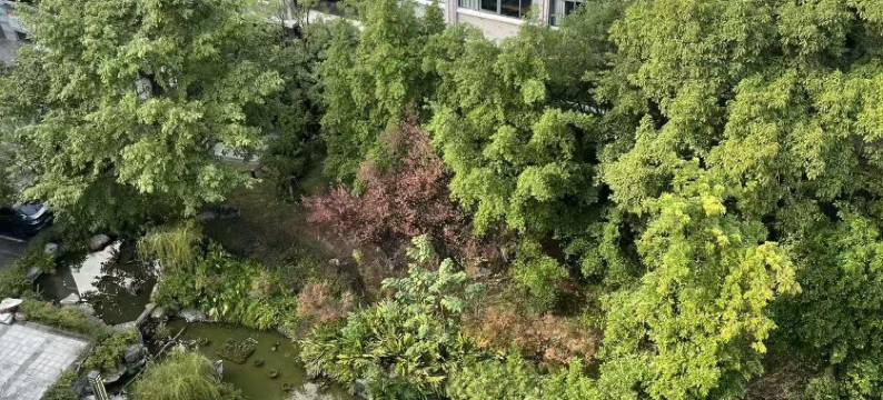 涪陵饭店(党校店)图片