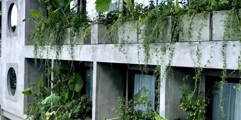 Z花園由H Hospitality Group管理酒店