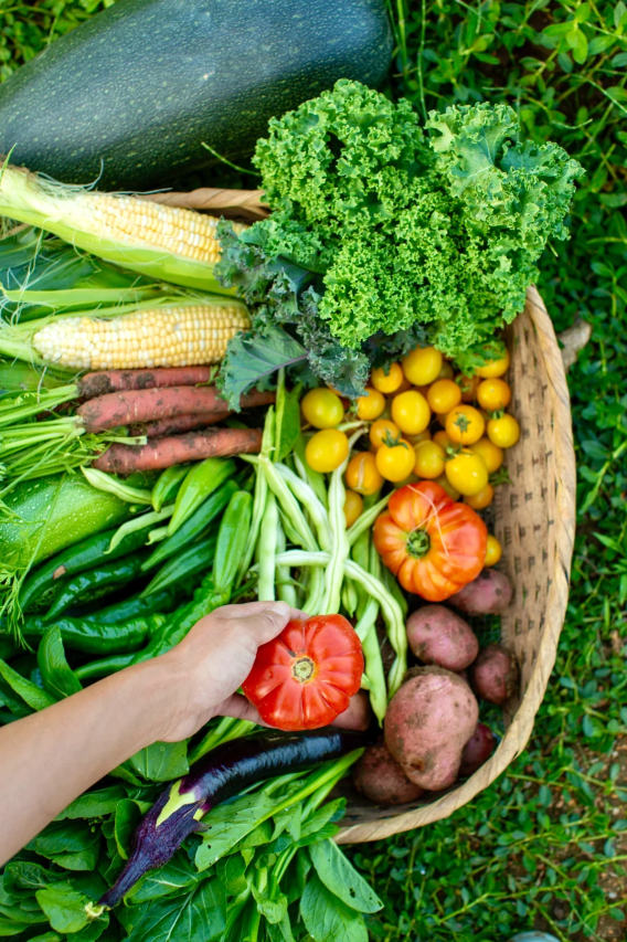大理·大喜酒店(龙龛码头生态廊道店)图片