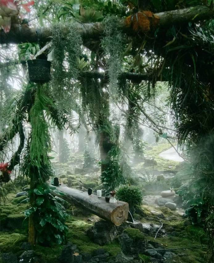 三亚保利瑰丽酒店图片